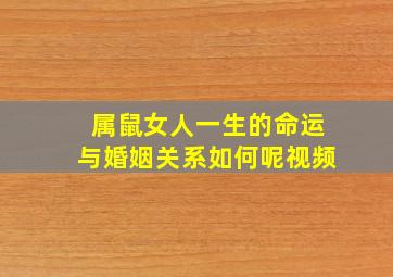 属鼠女人一生的命运与婚姻关系如何呢视频