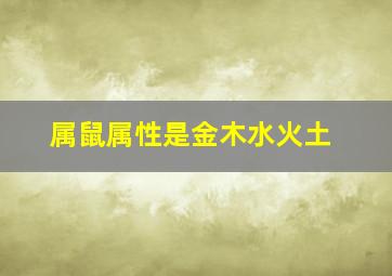 属鼠属性是金木水火土