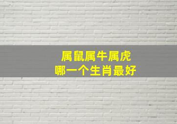 属鼠属牛属虎哪一个生肖最好