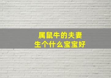 属鼠牛的夫妻生个什么宝宝好