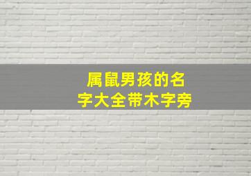 属鼠男孩的名字大全带木字旁