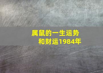 属鼠的一生运势和财运1984年