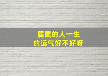 属鼠的人一生的运气好不好呀