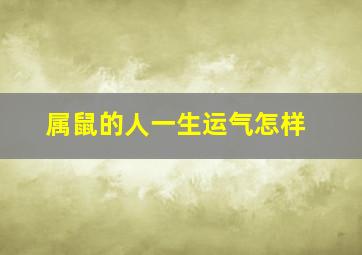 属鼠的人一生运气怎样