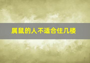 属鼠的人不适合住几楼