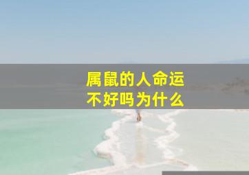 属鼠的人命运不好吗为什么