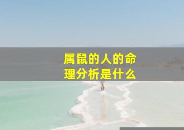 属鼠的人的命理分析是什么