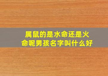 属鼠的是水命还是火命呢男孩名字叫什么好