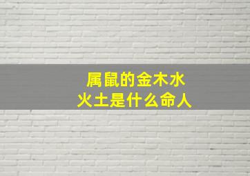 属鼠的金木水火土是什么命人