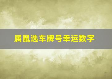 属鼠选车牌号幸运数字