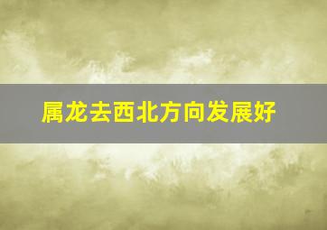 属龙去西北方向发展好