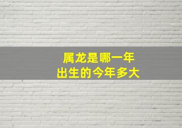 属龙是哪一年出生的今年多大