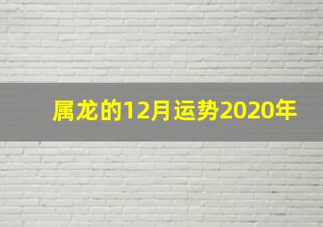 属龙的12月运势2020年