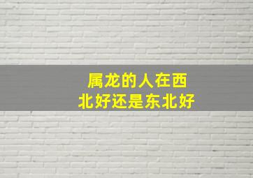 属龙的人在西北好还是东北好