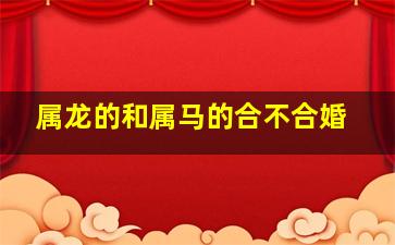 属龙的和属马的合不合婚