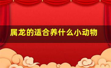 属龙的适合养什么小动物