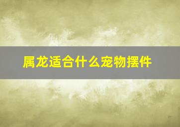 属龙适合什么宠物摆件