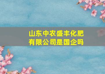 山东中农盛丰化肥有限公司是国企吗