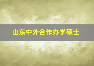 山东中外合作办学硕士