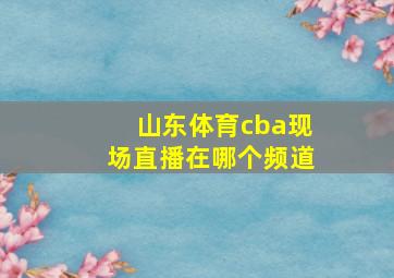 山东体育cba现场直播在哪个频道