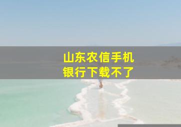 山东农信手机银行下载不了