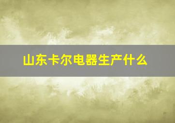 山东卡尔电器生产什么