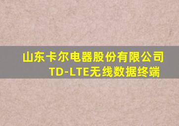 山东卡尔电器股份有限公司TD-LTE无线数据终端