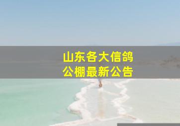 山东各大信鸽公棚最新公告