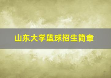 山东大学篮球招生简章