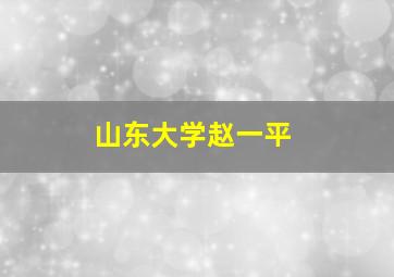 山东大学赵一平