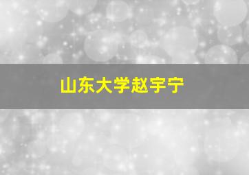 山东大学赵宇宁