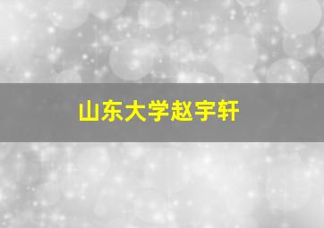 山东大学赵宇轩