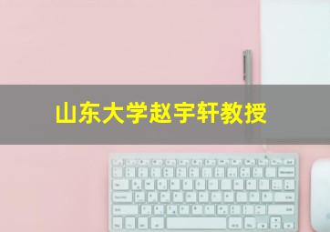 山东大学赵宇轩教授