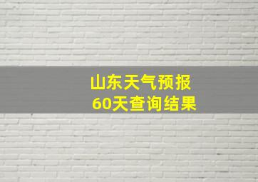 山东天气预报60天查询结果