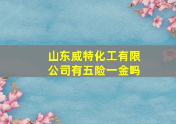 山东威特化工有限公司有五险一金吗