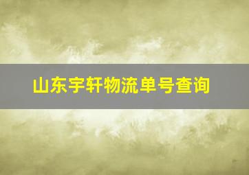 山东宇轩物流单号查询