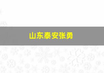 山东泰安张勇