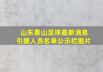 山东泰山足球最新消息引援人员名单公示栏图片