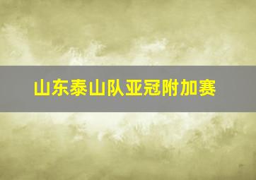 山东泰山队亚冠附加赛