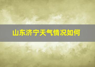 山东济宁天气情况如何