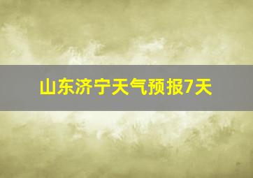 山东济宁天气预报7天