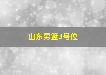 山东男篮3号位