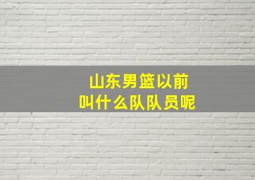 山东男篮以前叫什么队队员呢