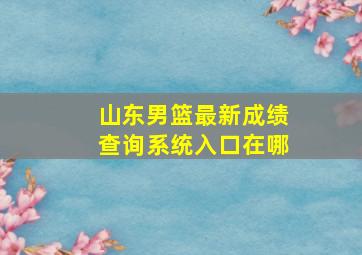 山东男篮最新成绩查询系统入口在哪