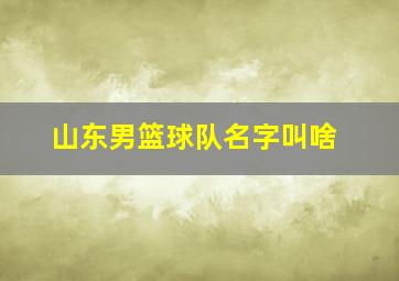 山东男篮球队名字叫啥