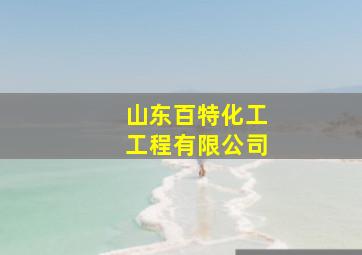 山东百特化工工程有限公司