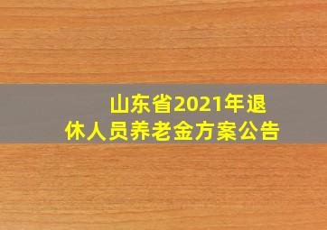 山东省2021年退休人员养老金方案公告