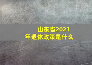 山东省2021年退休政策是什么