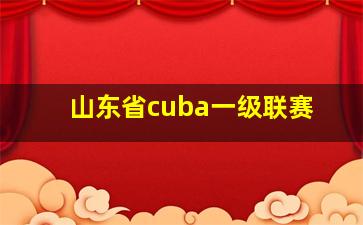 山东省cuba一级联赛