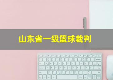 山东省一级篮球裁判